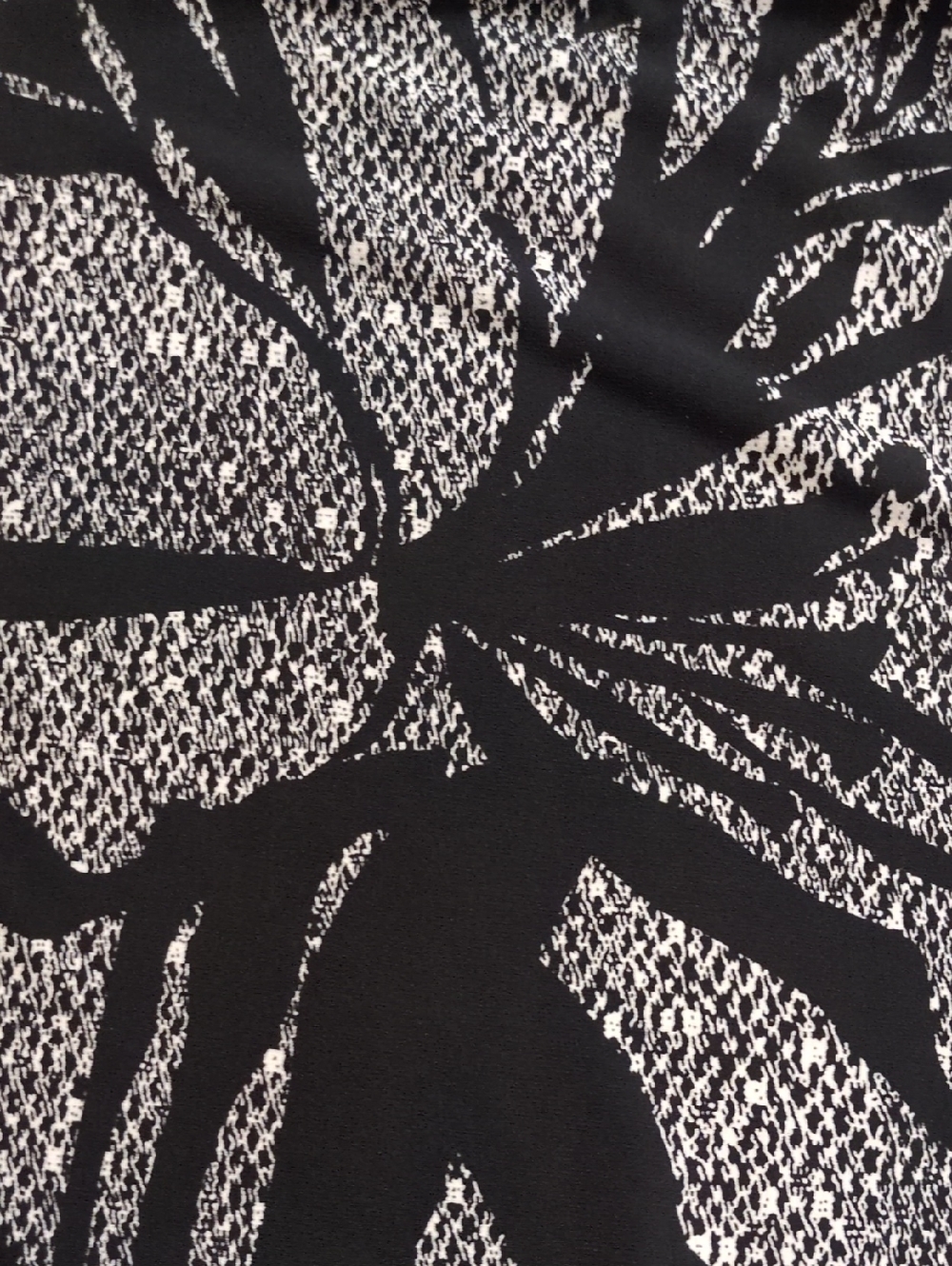 Clara Sun Woo Black Palm Print Wide Leg Crop Pants Size Medium - Picture 4 of 5